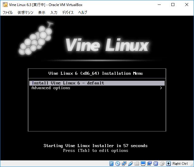 ゲストOSのインストール(6)